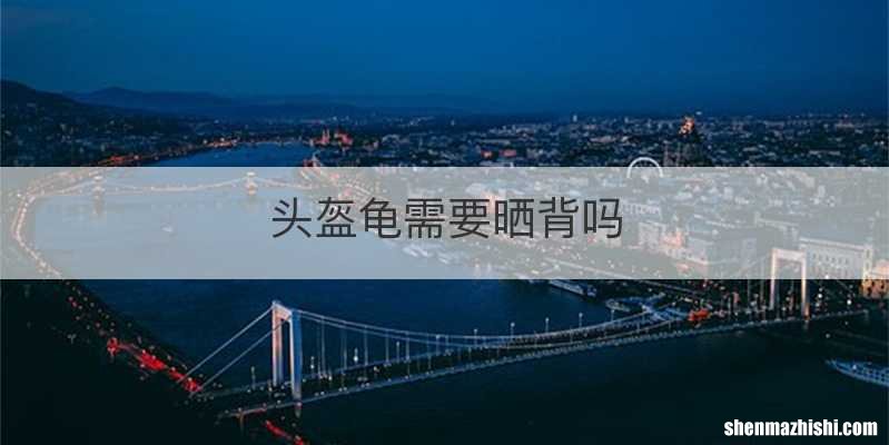 头盔龟需要晒背吗