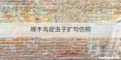 啄木鸟捉虫子扩句仿照