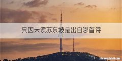 只因未读苏东坡是出自哪首诗