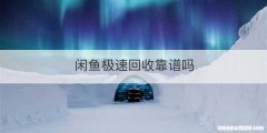 闲鱼极速回收靠谱吗