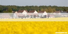 logiq中文是什么牌子