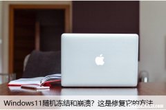 Windows11随机冻结和崩溃？这是修复它的方法
