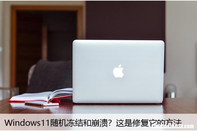 Windows11随机冻结和崩溃？这是修复它的方法