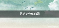 足球比分体球网