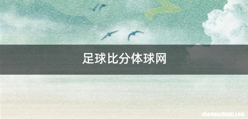 足球比分体球网