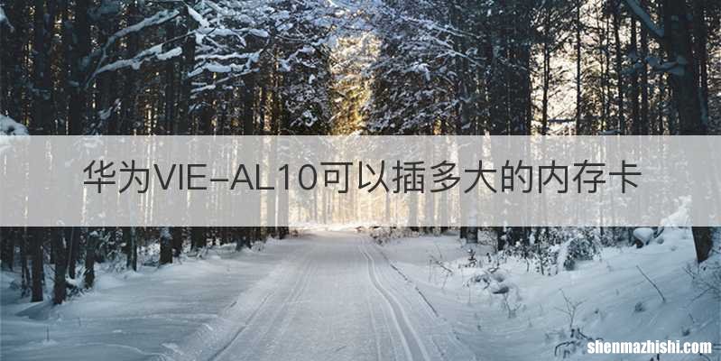 华为VIE-AL10可以插多大的内存卡