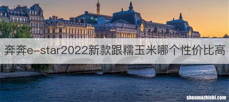 奔奔e-star2022新款跟糯玉米哪个性价比高