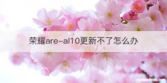 荣耀are-al10更新不了怎么办