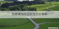 刘若英为什么叫文艺女青年