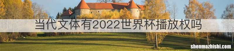 当代文体有2022世界杯播放权吗