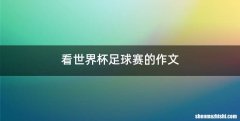 看世界杯足球赛的作文