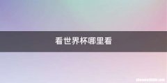 看世界杯哪里看