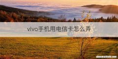 vivo手机用电信卡怎么弄
