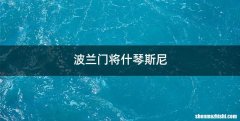 波兰门将什琴斯尼