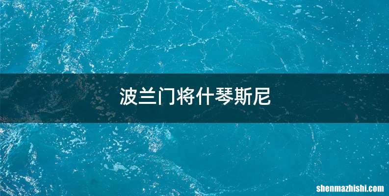波兰门将什琴斯尼
