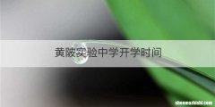 黄陂实验中学开学时间