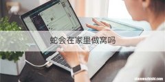 蛇会在家里做窝吗