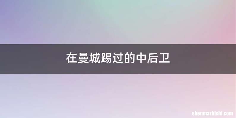 在曼城踢过的中后卫