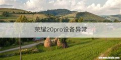 荣耀20pro设备异常