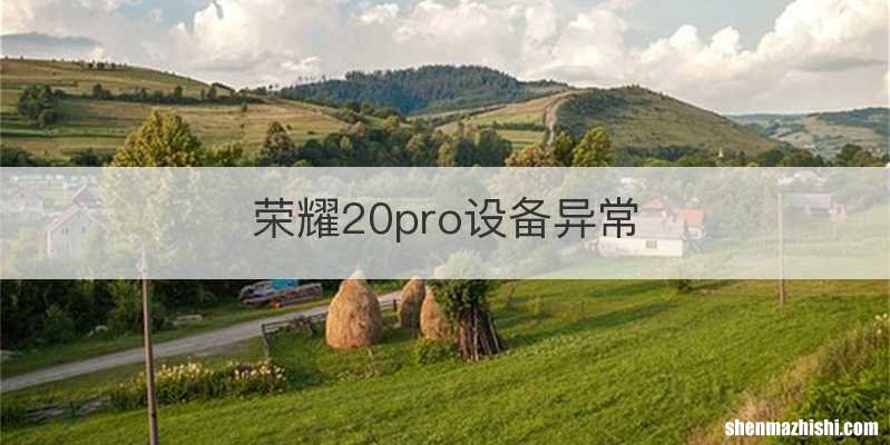 荣耀20pro设备异常
