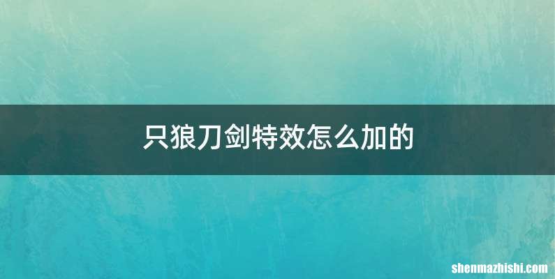 只狼刀剑特效怎么加的