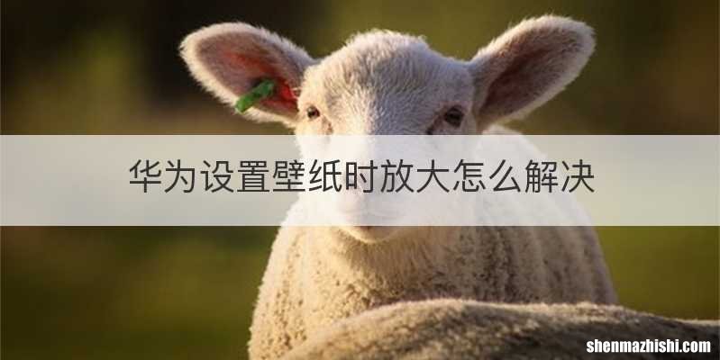 华为设置壁纸时放大怎么解决