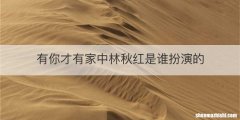 有你才有家中林秋红是谁扮演的