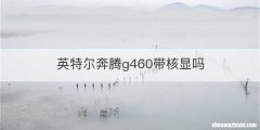 英特尔奔腾g460带核显吗