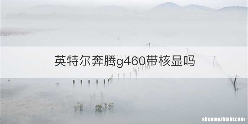 英特尔奔腾g460带核显吗