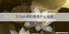 万马奔腾的腾是什么意思