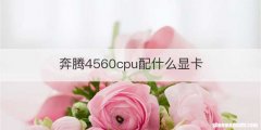 奔腾4560cpu配什么显卡