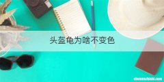 头盔龟为啥不变色