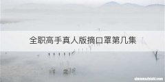 全职高手真人版摘口罩第几集