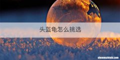 头盔龟怎么挑选