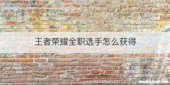 王者荣耀全职选手怎么获得