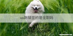 uu跑腿签约是全职吗