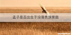 孟子是否出生于没落贵族家庭