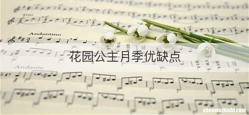 花园公主月季优缺点