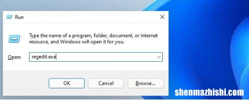 如何通过3种方式从桌面Windows10/11中删除回收站