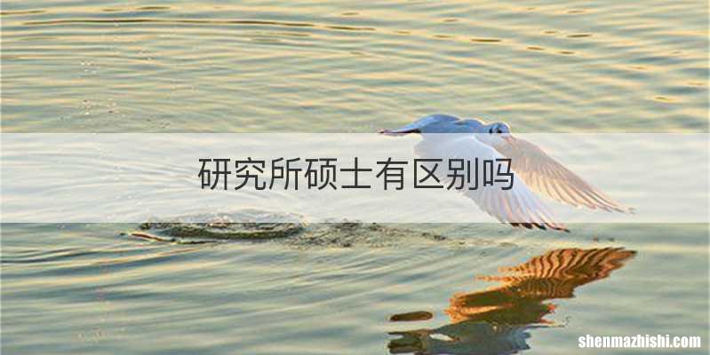 研究所硕士有区别吗