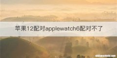 苹果12配对applewatch6配对不了