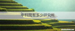 中科院有多少研究所