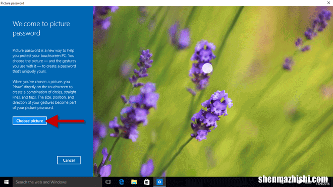 如何在Windows10上为您的帐户添加登录选项
