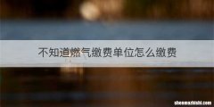 不知道燃气缴费单位怎么缴费