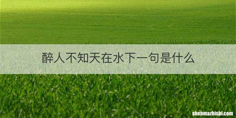 醉人不知天在水下一句是什么