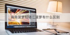 海南菠萝和湛江菠萝有什么区别