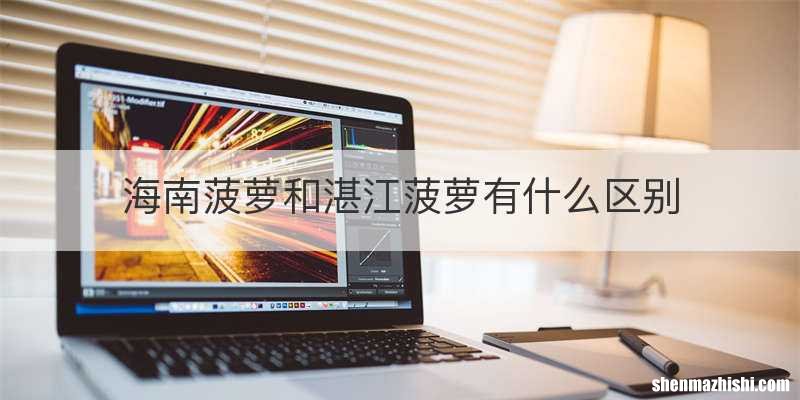 海南菠萝和湛江菠萝有什么区别