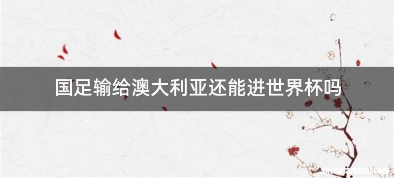 国足输给澳大利亚还能进世界杯吗