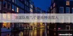 法国队有几个是纯种法国人