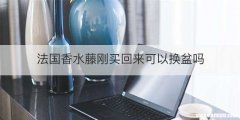法国香水藤刚买回来可以换盆吗